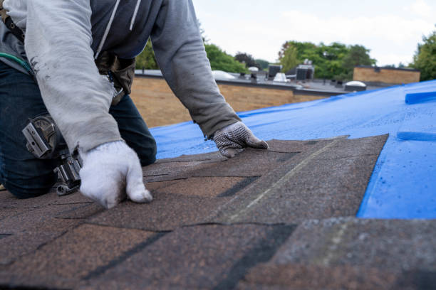 Best Roof Leak Repair  in Canton, IL