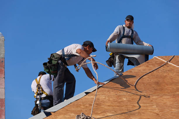 Best New Roof Installation  in Canton, IL